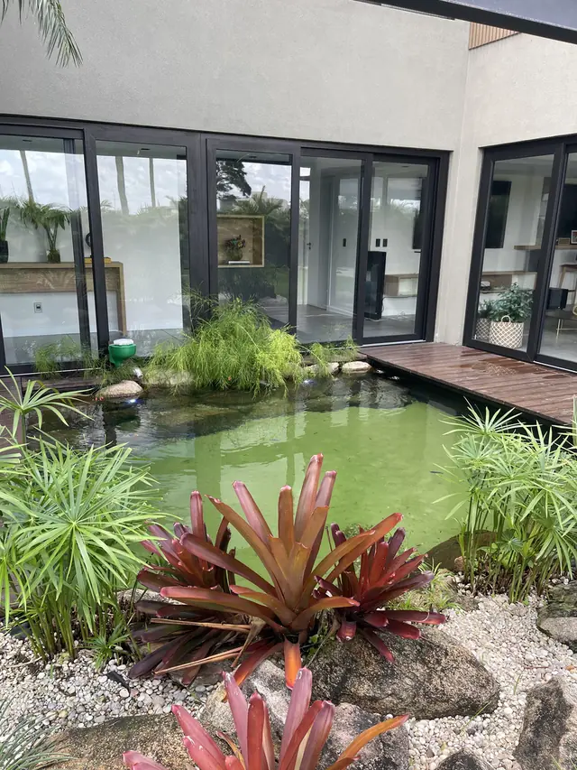 Lago ornamental com bromélias e deck de madeira em residência